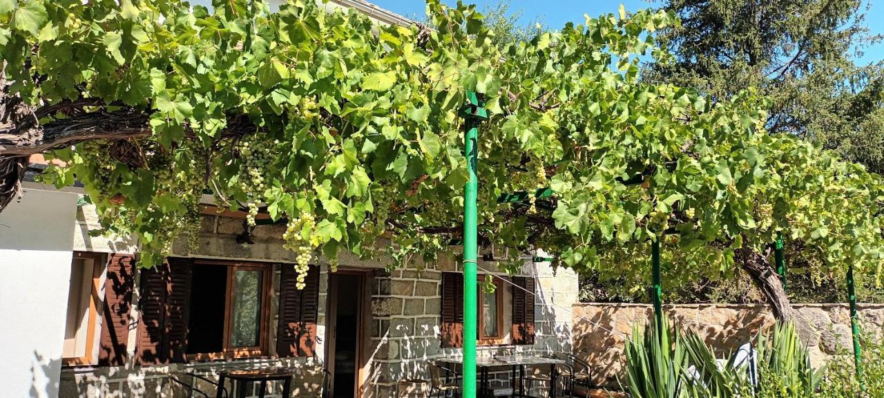 Gasthaus La Parra De Pepa Cercedilla Exterior foto